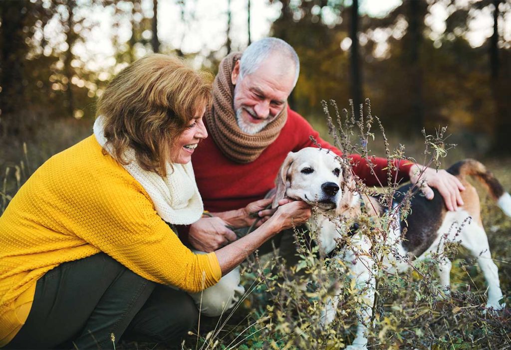 senior couple loving on their dog while they take a break from their walk tax deferred annuity chicago il